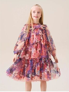 Angel & Rocket Eleanor Floral Mesh Dress NWT